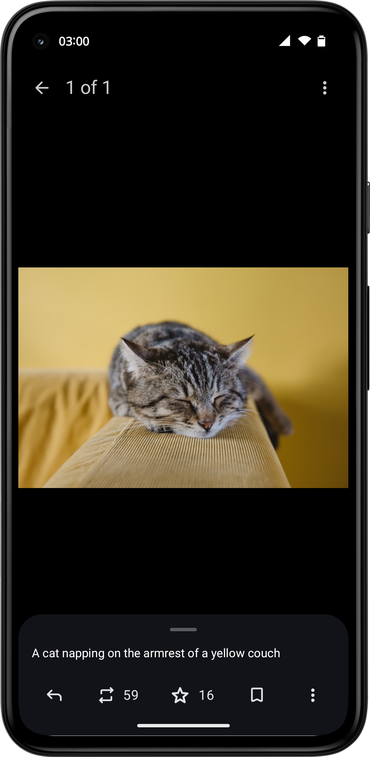 Screenshot of the apps media viewing page